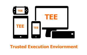 Trusted Execution Environment